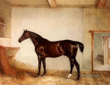  ferneley - A Bay Hunter in loser Box Pferd John Ferneley Snr